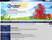 Tablet Screenshot of pkpumpcontrol.com